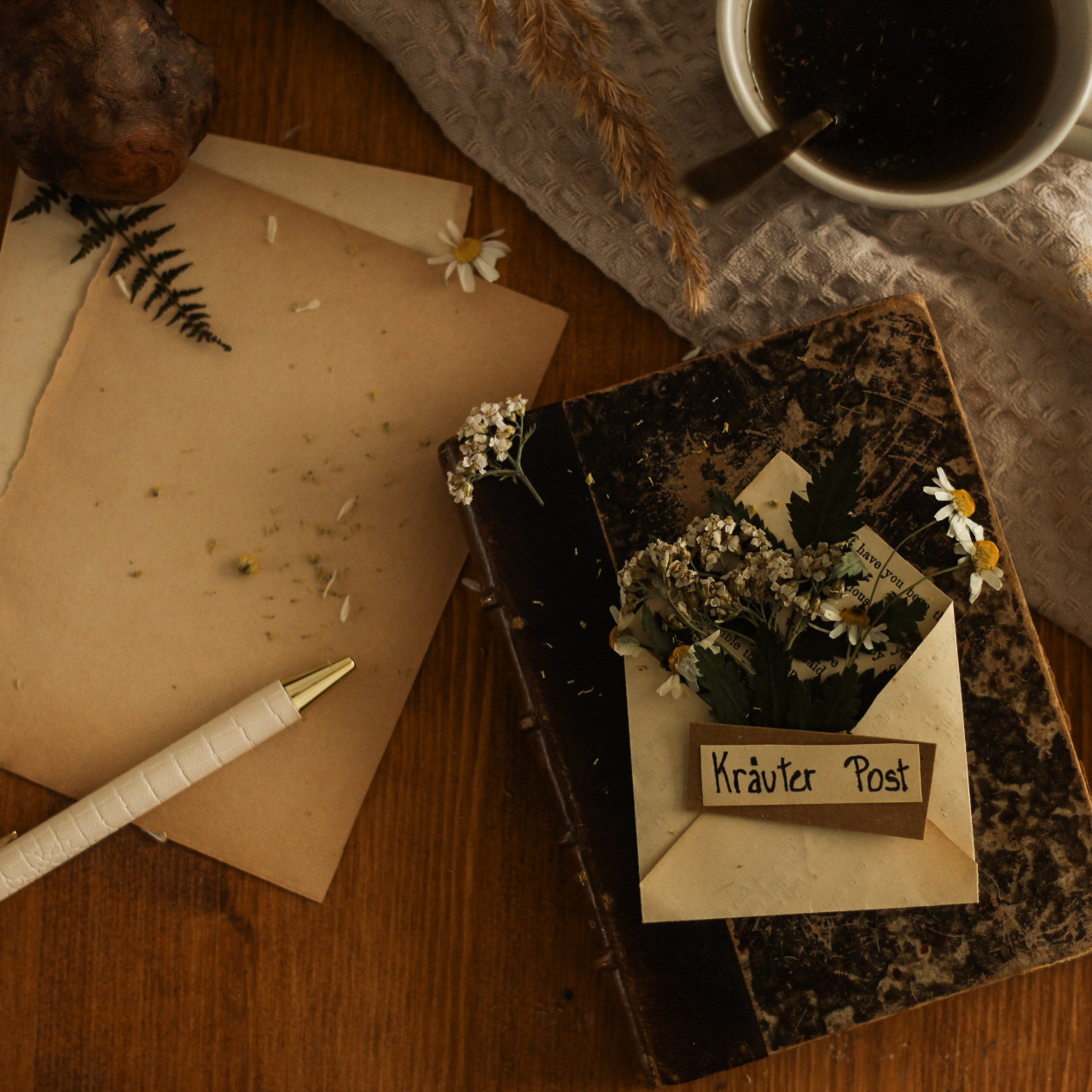 herbalwhisper-newsletter-heilpflanzen-wildkraeuter-kraeuterwissen-natuerlichehausmittel-naturkosmetik