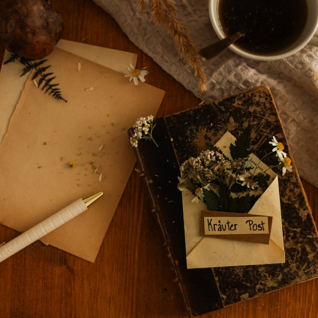 herbalwhisper-newsletter-heilpflanzen-wildkraeuter-kraeuterwissen-natuerlichehausmittel-naturkosmetik