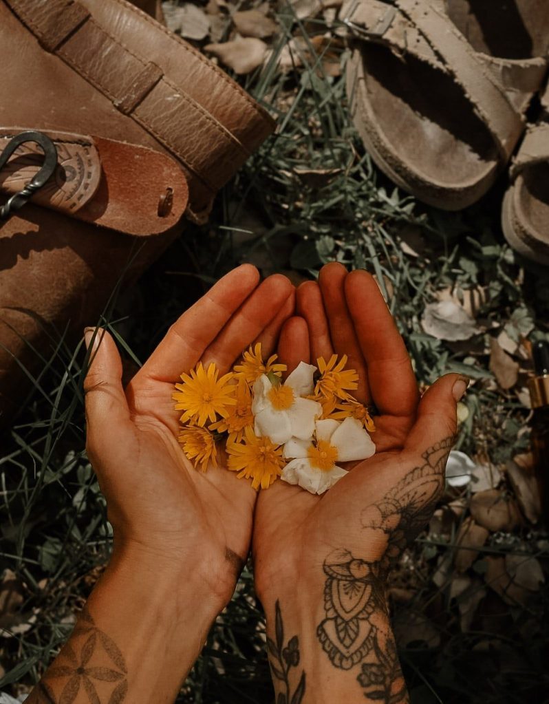 Auf dem Foto sieht man oben links meinen Sammelrucksack mit Sammelmesser, rechts meine Birkenstock und in der Mitte meinen offenen Hände gefüllt mit Heilpflanzen und Wildkräutern.
